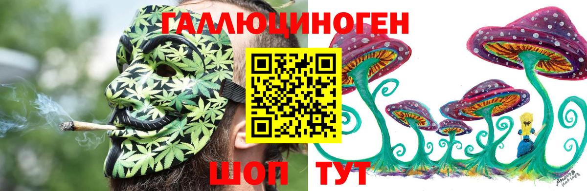 Псилоцибиновые грибы Cubensis  Галлюциногенные грибы GOLDEN TEACHER  Вход с VPN  Зеленокумск 